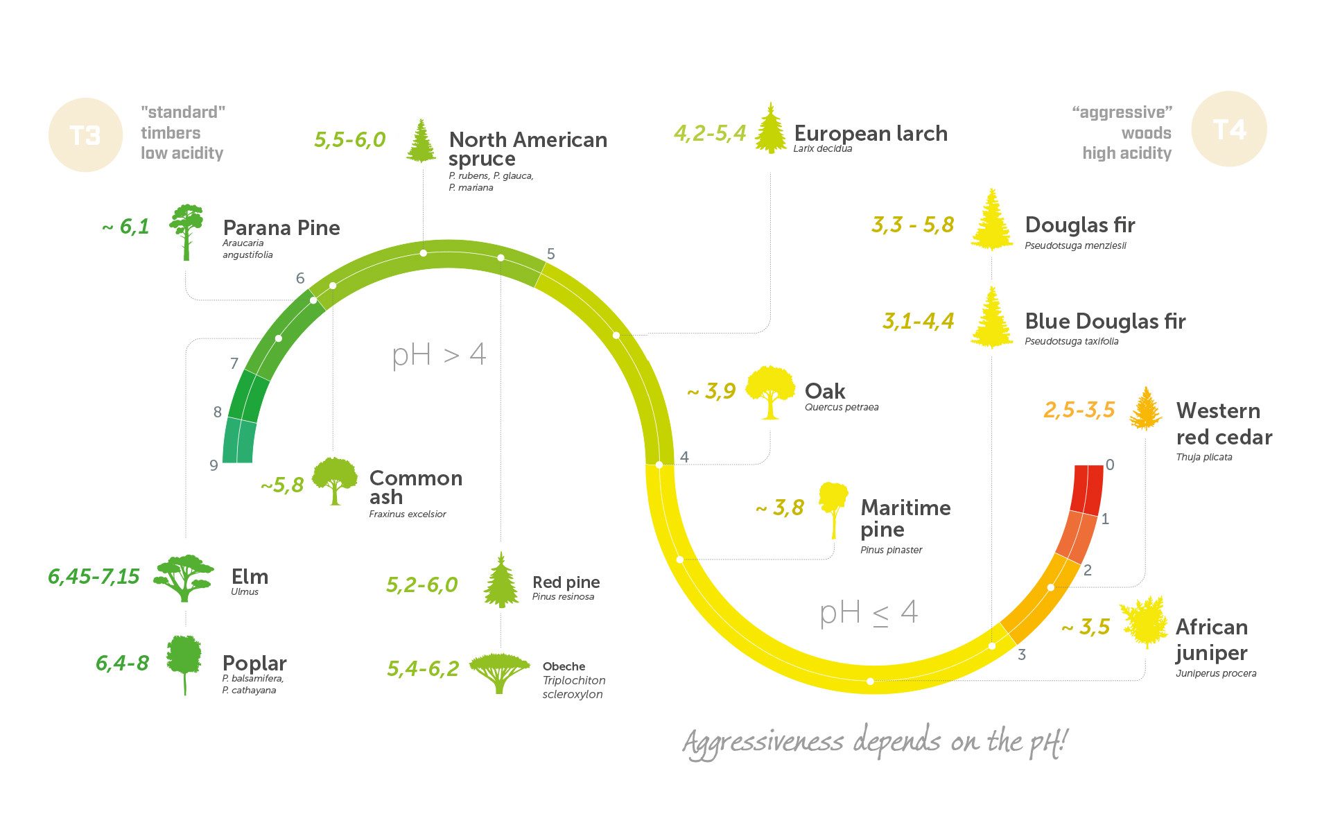 wood species and Ph 